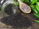 BASIL SEED 1