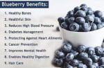 blueberry fruit4